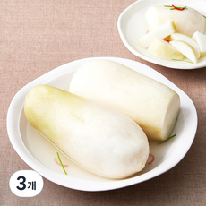 금자네 동치미, 5kg, 3개