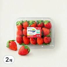 하동품애 GAP 설향 딸기, 500g(중과), 2개