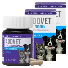 애드벳 반려동물 영양제, 30정, 장건강/유산균, 2개