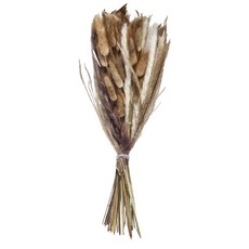 簡約素胚花瓶 附紙箱 乾燥花008, 彩色