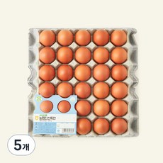신선 특란 1800g, 30구, 5개