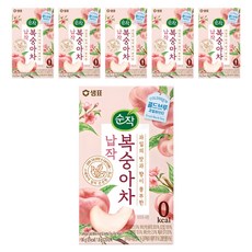 순작 콜드브루 과일허브티 납작 복숭아차, 1.8g, 20개입, 6개