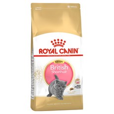 ROYAL CANIN 法國皇家 英國短毛幼貓專用飼料 BSK38 1歲以下幼貓適用, 脫水禽肉蛋白、米、植物分離蛋白、動物脂肪、玉米、小麥粉、水解動物蛋白、玉米麩質、甜菜漿、植物纖維、魚油、礦物質、大豆油、酵母菌、果寡糖、洋車前子殼和籽、水解酵母(甘露寡糖來源),琉璃苣油,金盞花提取物(葉黃素來源)、水解甲殼素(葡萄糖胺來源)、水解軟骨(軟骨素來源), 2kg, 1袋