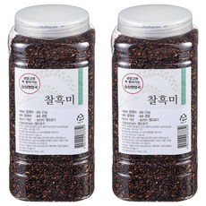 월드그린 싱싱영양통 검정 찰흑미, 2kg, 2개