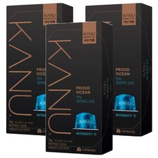 카누 바리스타 머신 전용 캡슐커피 프라우드오션, 9.5g, 10개입, 3개