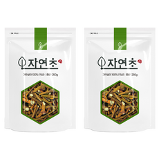 겨우살이 곡기생 미슬토, 250g, 2개