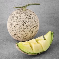 곰곰 x 농협 곰곰 부여 멜론, 1.25kg, 1개