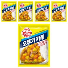 오뚜기 카레 과립형 매운맛, 100g, 5개