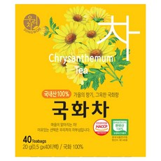 우리차 국화차 티백, 500mg, 40개입, 1개