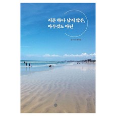 지문하나 남지 않은 아무것도 아닌, 은빛, 전수안 저