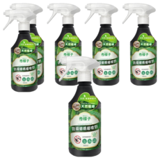 奇檬子 防蟑螂螞蟻噴劑, 添加月桂葉精油, 天然無毒配方, 適用於居家環境, 500ml, 6瓶