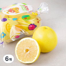 남아공산 화이트 잭슨 자몽, 1.6kg, 6개