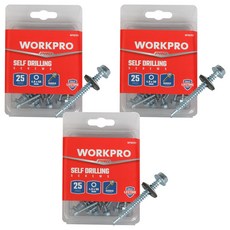 WORKPRO 六角防水螺絲 4.8 x 50 mm WP361017, 3個