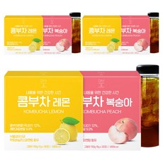 데이앤 콤부차 레몬 5g x 30p + 복숭아 5g x 30p + 전용보틀, 3세트, 30개입