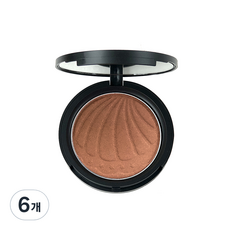애리조 쉬머 파우더 팩트10g, No2 브론즈, 6개