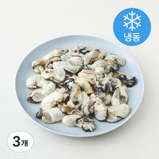위드프레쉬 국내산 굴 (냉동), 3개, 1kg