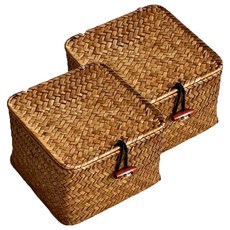 댓츠댓 웨빙 뚜껑형 정사각 라탄 수납 바구니, 브라운, 2개