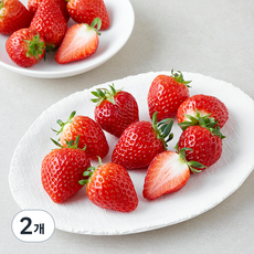 올푸릇 무농약 인증 설향딸기 대과, 500g, 2개