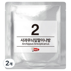 PEST7 費洛蒙誘引劑 02 蘋果捲葉蛾, 2個