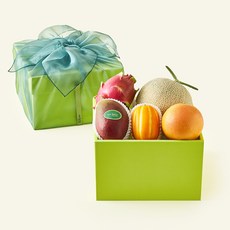 온브릭스 과일 5종 옐로우그린 1호 + 보자기, 1개