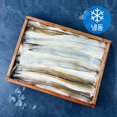 The더착한 장어필렛 긴꼬리 (냉동), 1개, 4kg