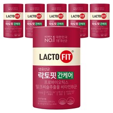 락토핏 간케어 유산균 60p, 120g, 6개