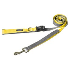 분독 플레이리쉬 2.0 리드줄 L, 그레이레몬, 1개