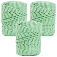 SEVY 編繩棉繩 450g 4mm*100m, 9 明亮的薄荷, 3個