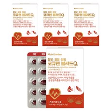 뉴트리가든 코큐텐 블러드Q 16.5g, 4개, 30정