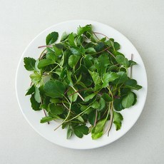 국내산 갯방풍 나물, 1개, 200g