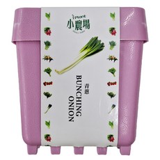 iPlant 積木農場盆栽, 青蔥, 12 x 12 x 13.5cm