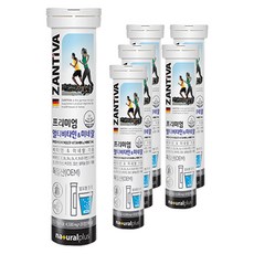 내츄럴플러스 잔티바 발포 멀티비타민 미네랄, 20정, 6개