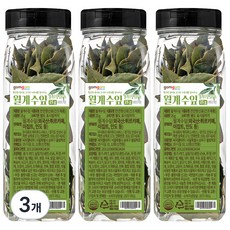 곰곰 월계수잎, 25g, 3개