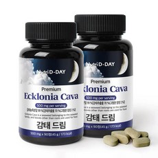 뉴트리디데이 감태 드림 타블렛 영양제, 90정, 2개