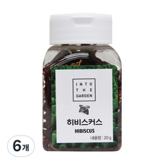 딜리셔스마켓 히비스커스, 20g, 6개