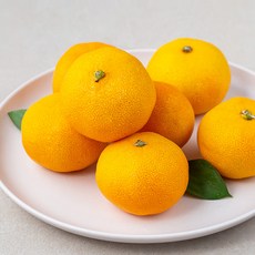 딜리조이 GAP 저탄소 당도선별 제주 감귤, 500g, 1팩