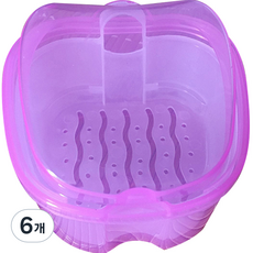 Darnina 假牙收納盒 透明紫色, 1入, 6個