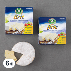 샴피뇽 브리, 125g, 6개, 1개입