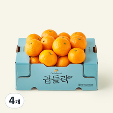 제주 남원농협 곱들락 카라향 랜덤과, 4개, 2kg