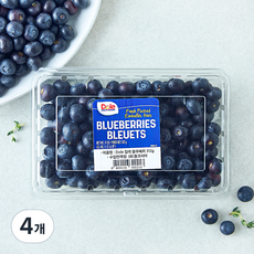 돌 칠레 블루베리, 4개, 312g