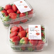 엄마는농부 김제 죽향딸기, 500g, 2개