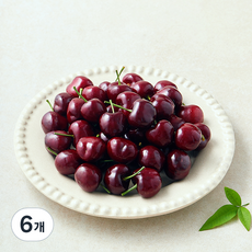 amc올프룻 미국산 항공직송 체리 점보, 6개, 500g