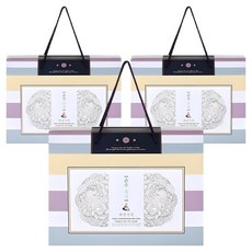 Haneul Hangwa Pure Yugwa 糯米 Chocheong Set of 4, 600g, 3組