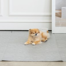 디팡 강아지 고양이 미끄럼방지매트, 시크브릭, 1개