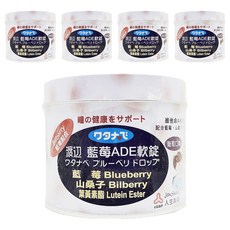 Jen Sheng 人生製藥 渡邊 藍莓ADE軟錠, 190g, 5罐