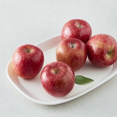 올푸릇 저탄소 사과 부사 5~6입, 1개, 1kg