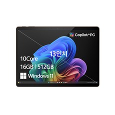 마이크로소프트 2024 서피스 프로 11 스냅드래곤 X 플러스, 듄, 512GB, 16GB, WIN11 Home, ZHY-00055