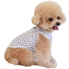 Grooming Dog 寵物滿天星無袖T恤, 藍色