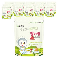 베베잇츠 동결건조 과일칩, 사과, 12개, 12g