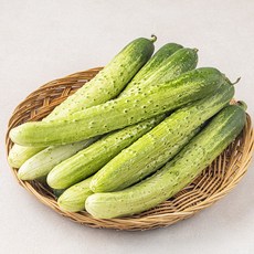 곰곰 국내산 백오이, 2kg, 1개, 2kg